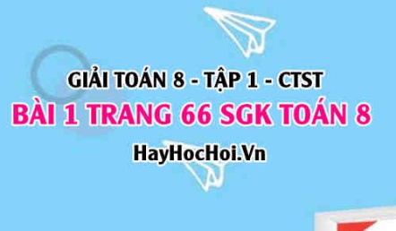 Giải bài 1 trang 66 Toán 8 Tập 1 SGK Chân trời sáng tạo